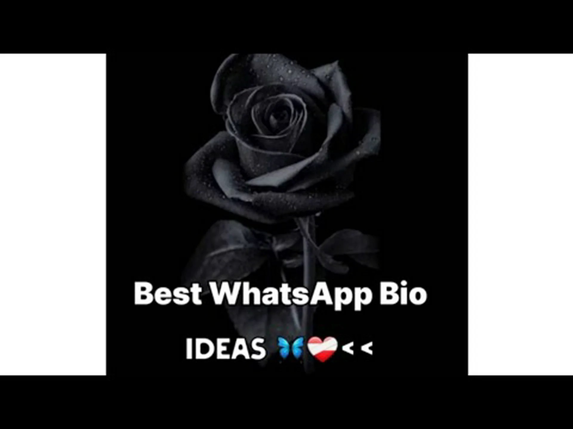 Biography for whatsapp tumblr Biography for whatsapp tumblr