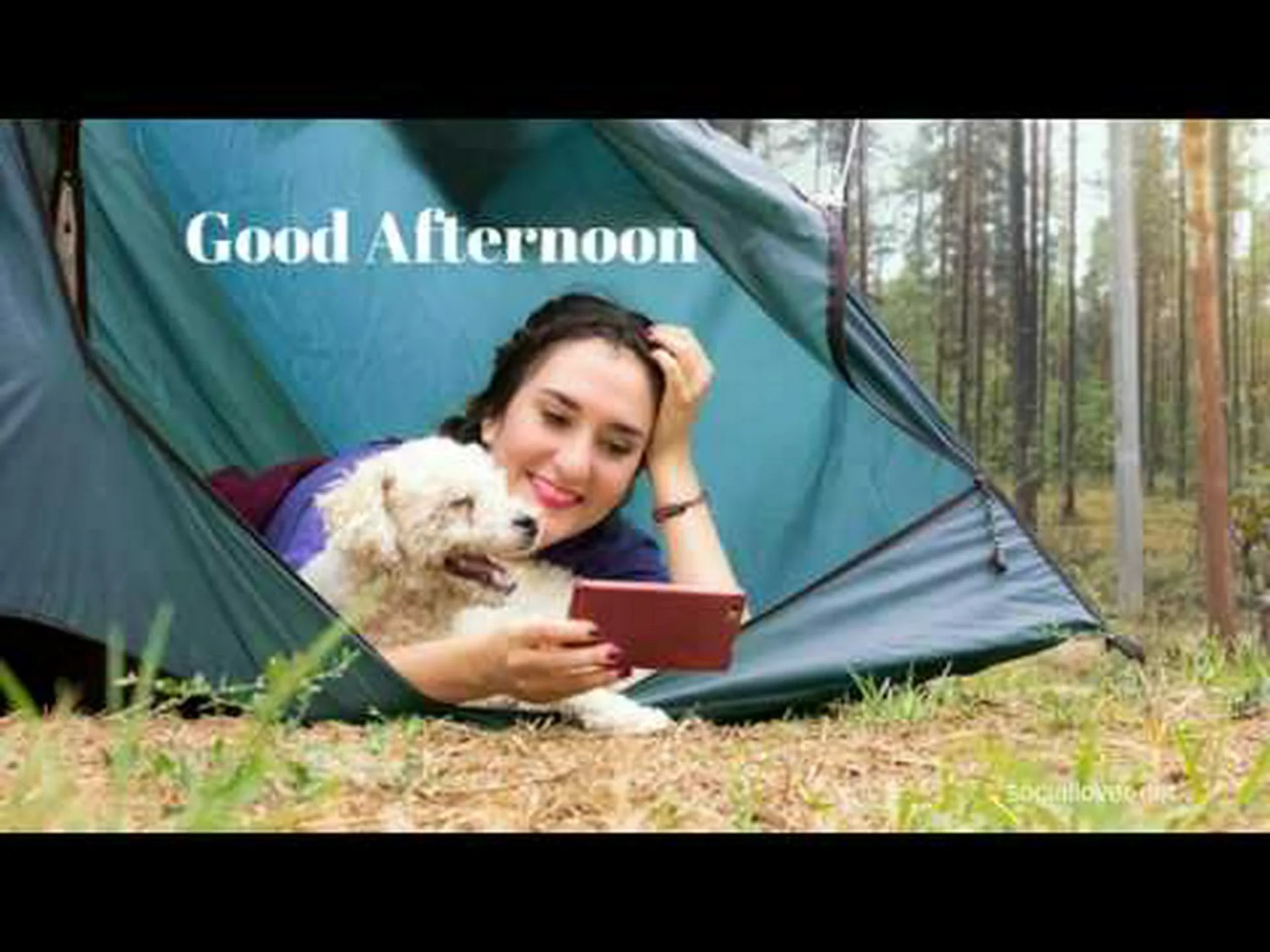 Good afternoon funny for whatsapp Good afternoon funny for whatsapp