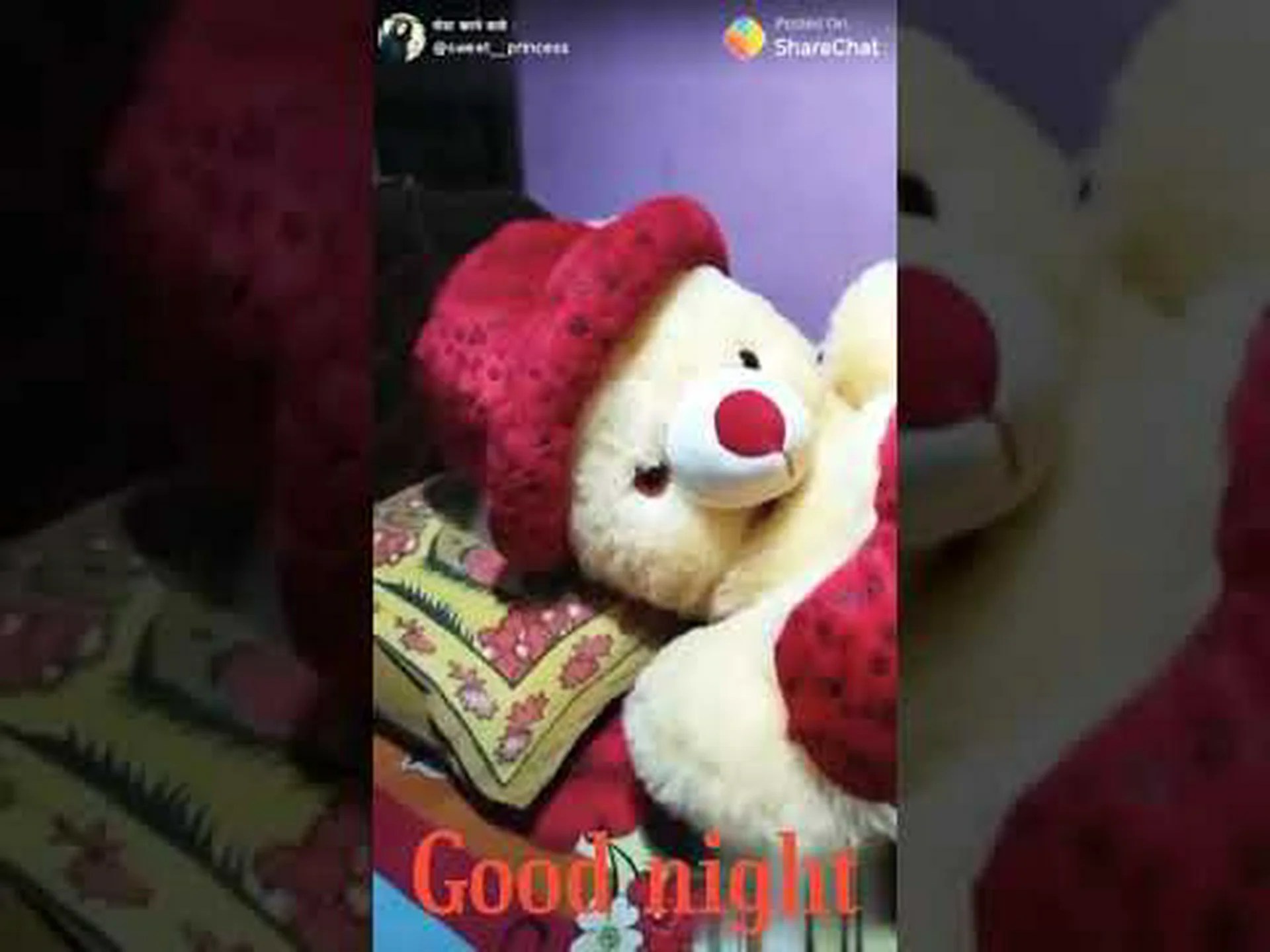 Good night with humor whatsapp Good night with humor whatsapp