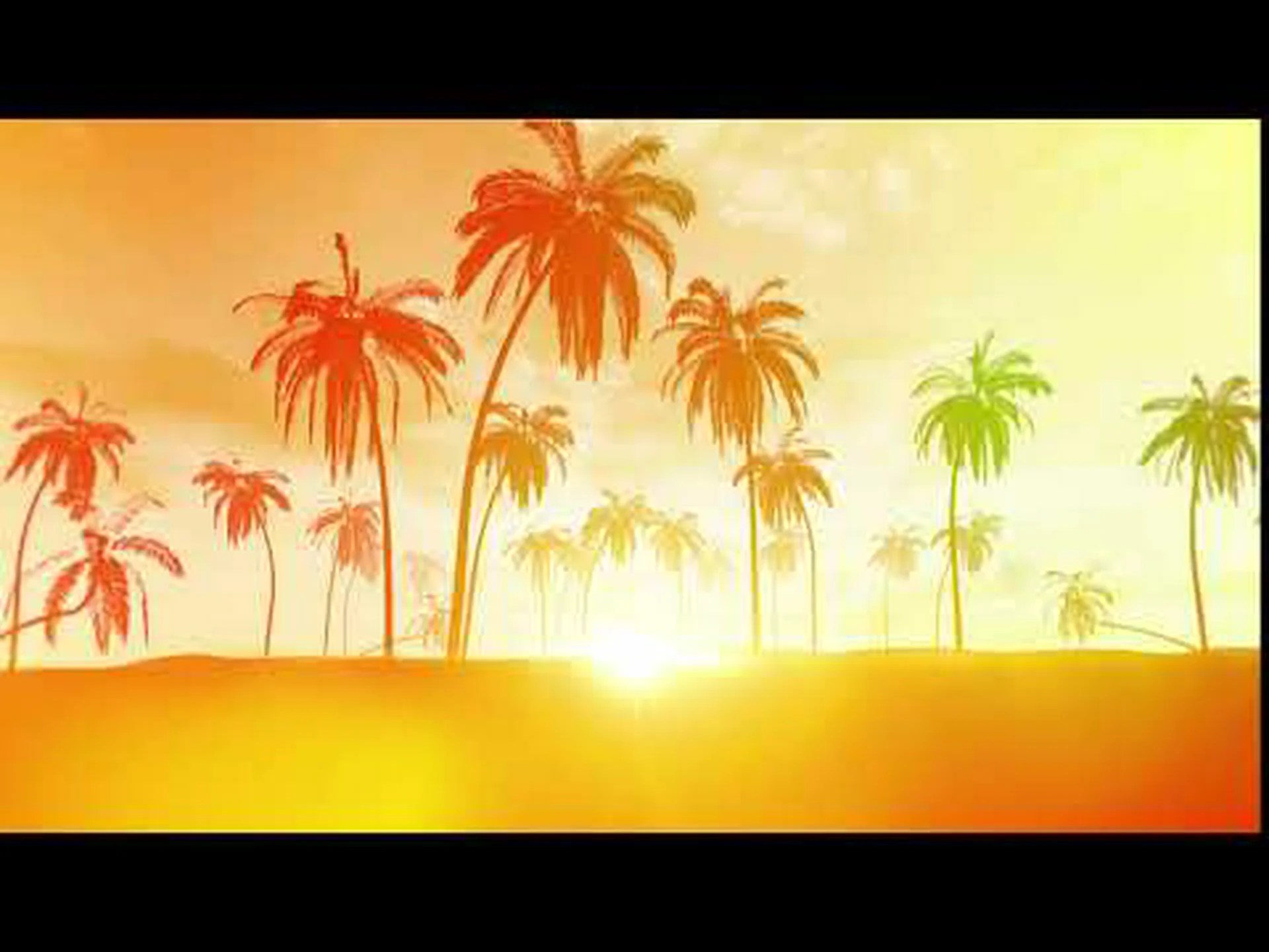 Palm trees wallpaper for whatsapp Palm trees wallpaper for whatsapp