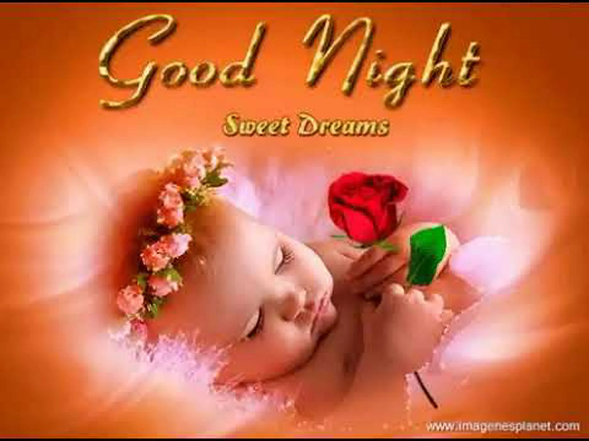 Whatsapp good night stickers Whatsapp good night stickers