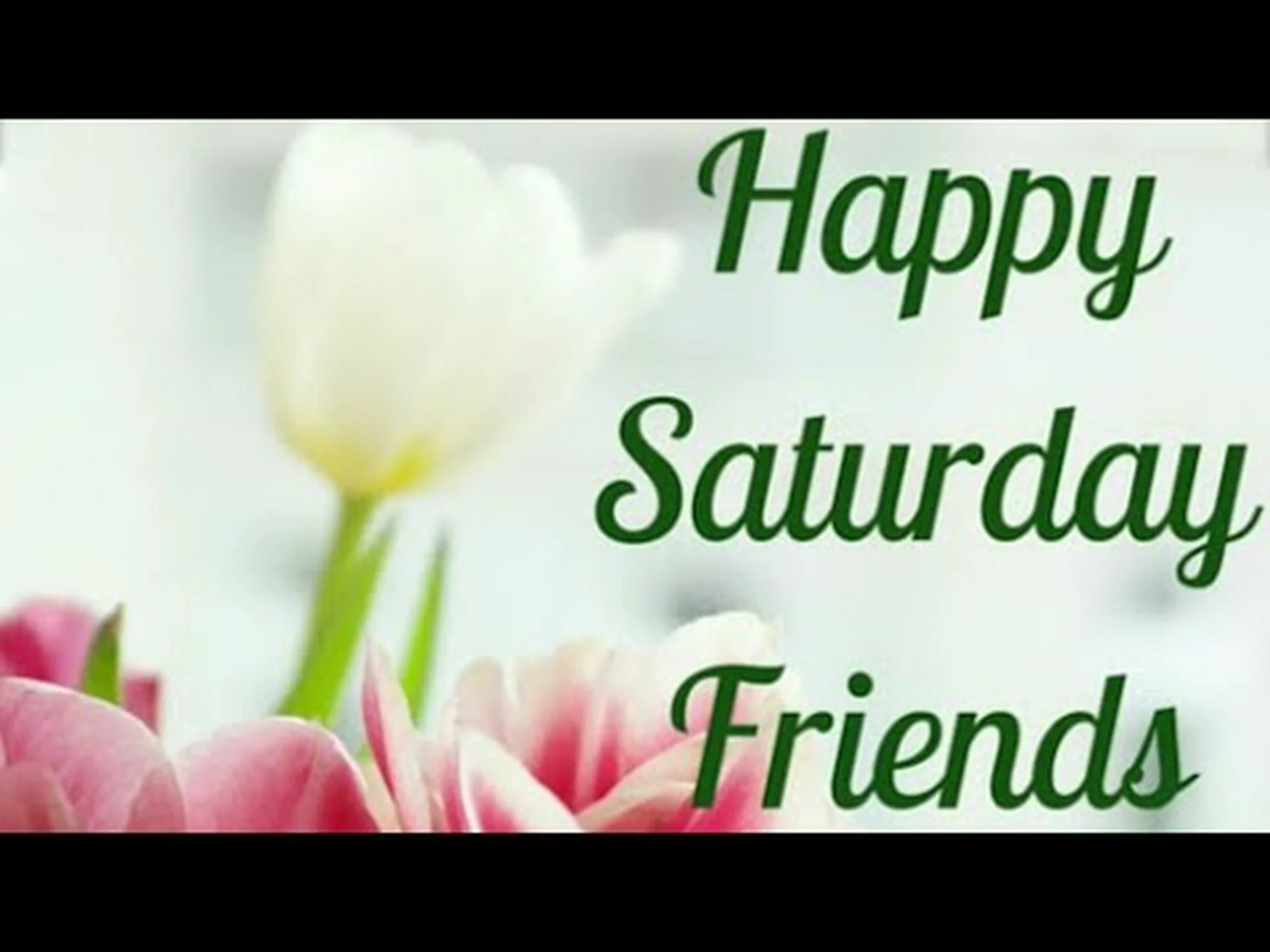 Good morning saturday images for whatsapp Good morning saturday images for whatsapp