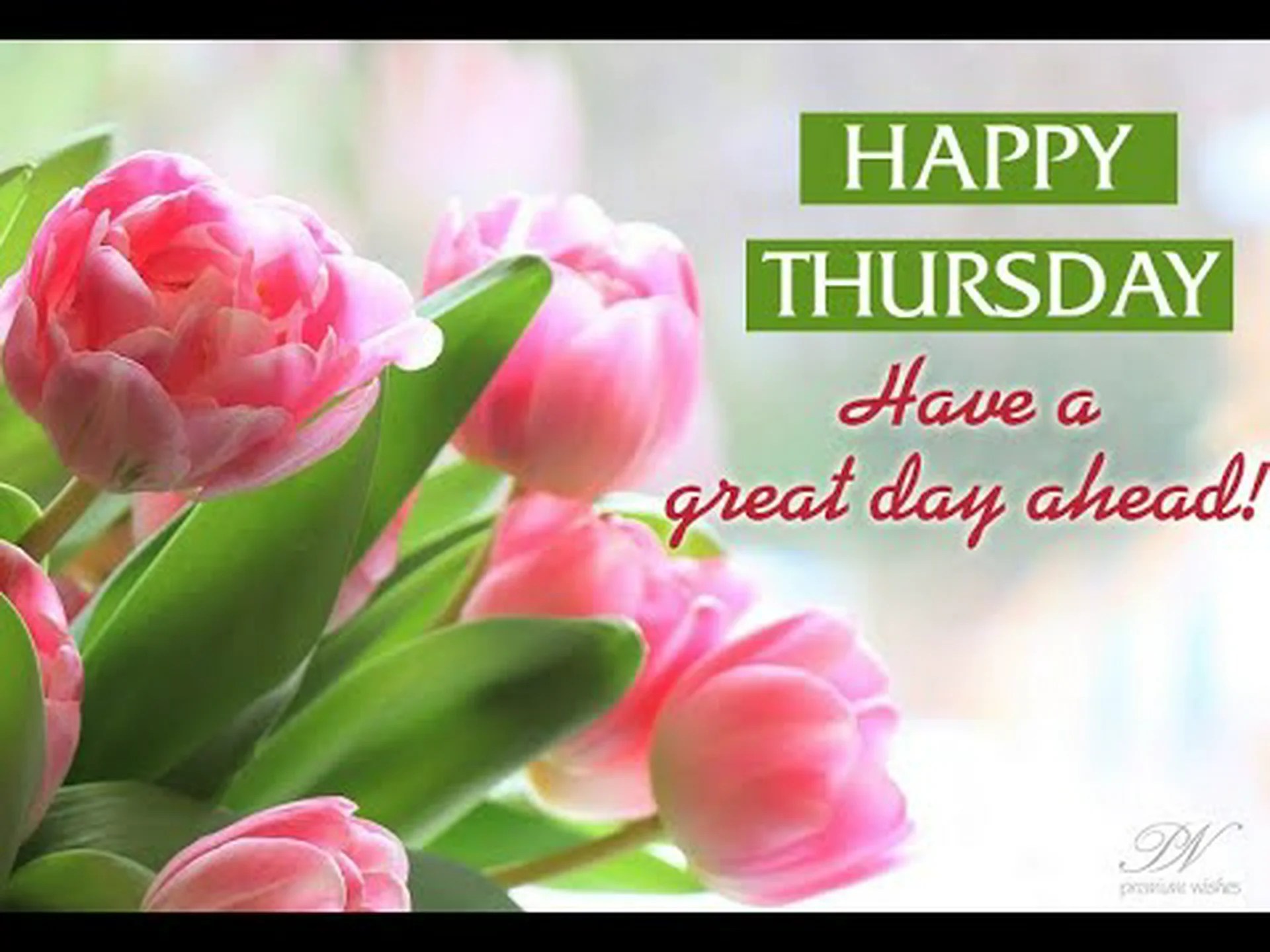 Good morning Thursday for whatsapp Good morning Thursday for whatsapp