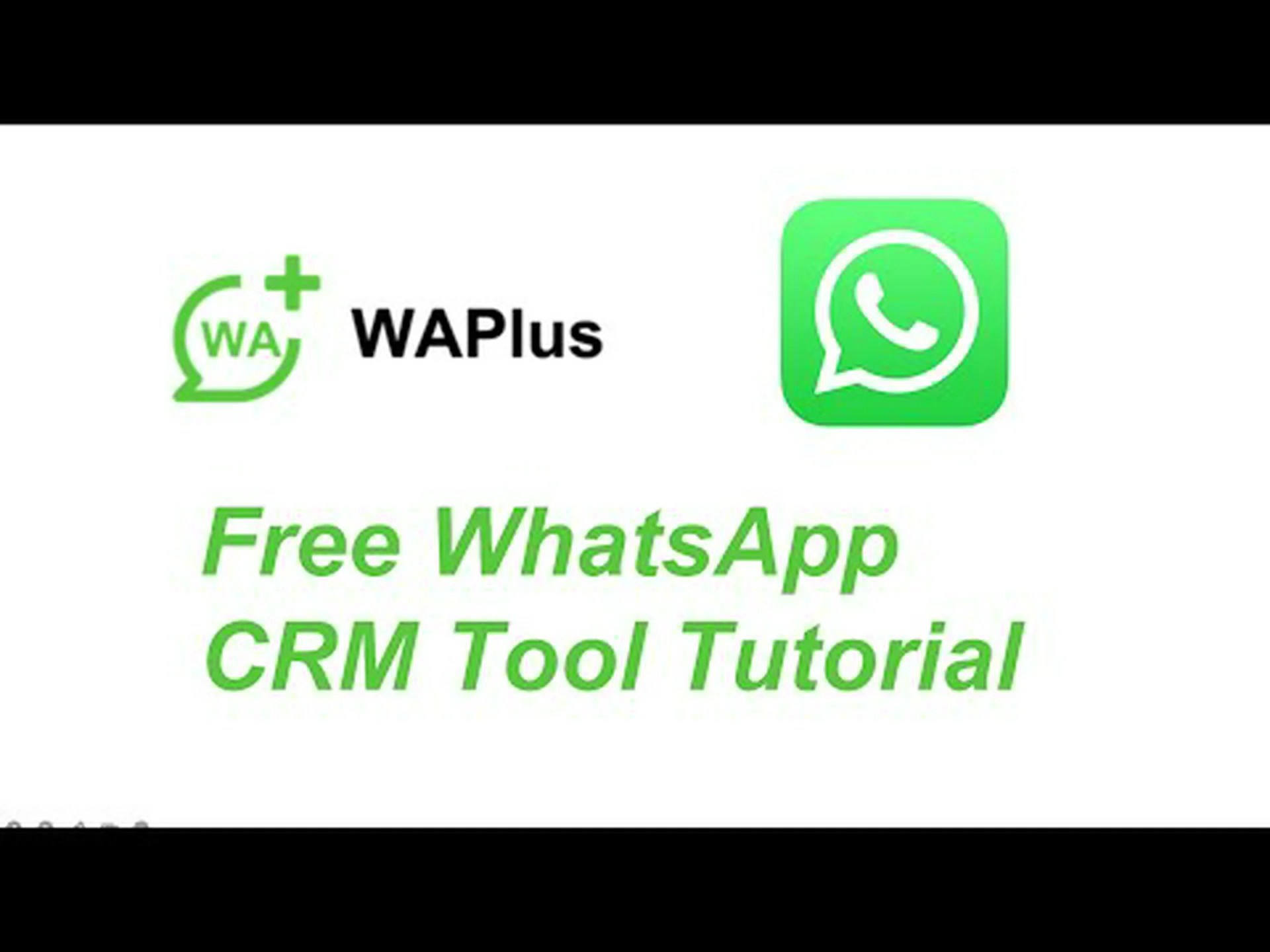 Free whatsapp manager Free whatsapp manager