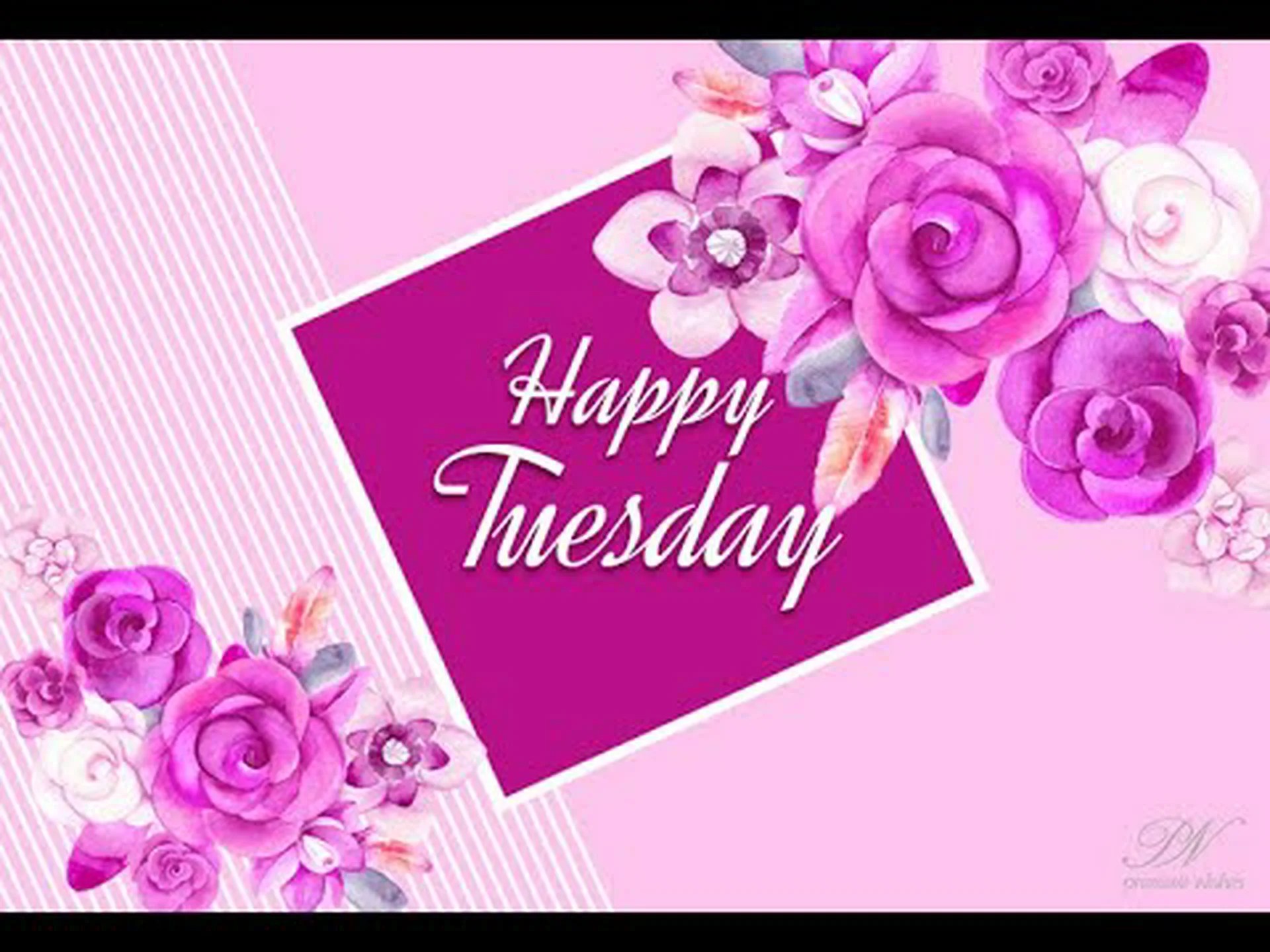 Good morning tuesday messages for whatsapp Good morning tuesday messages for whatsapp
