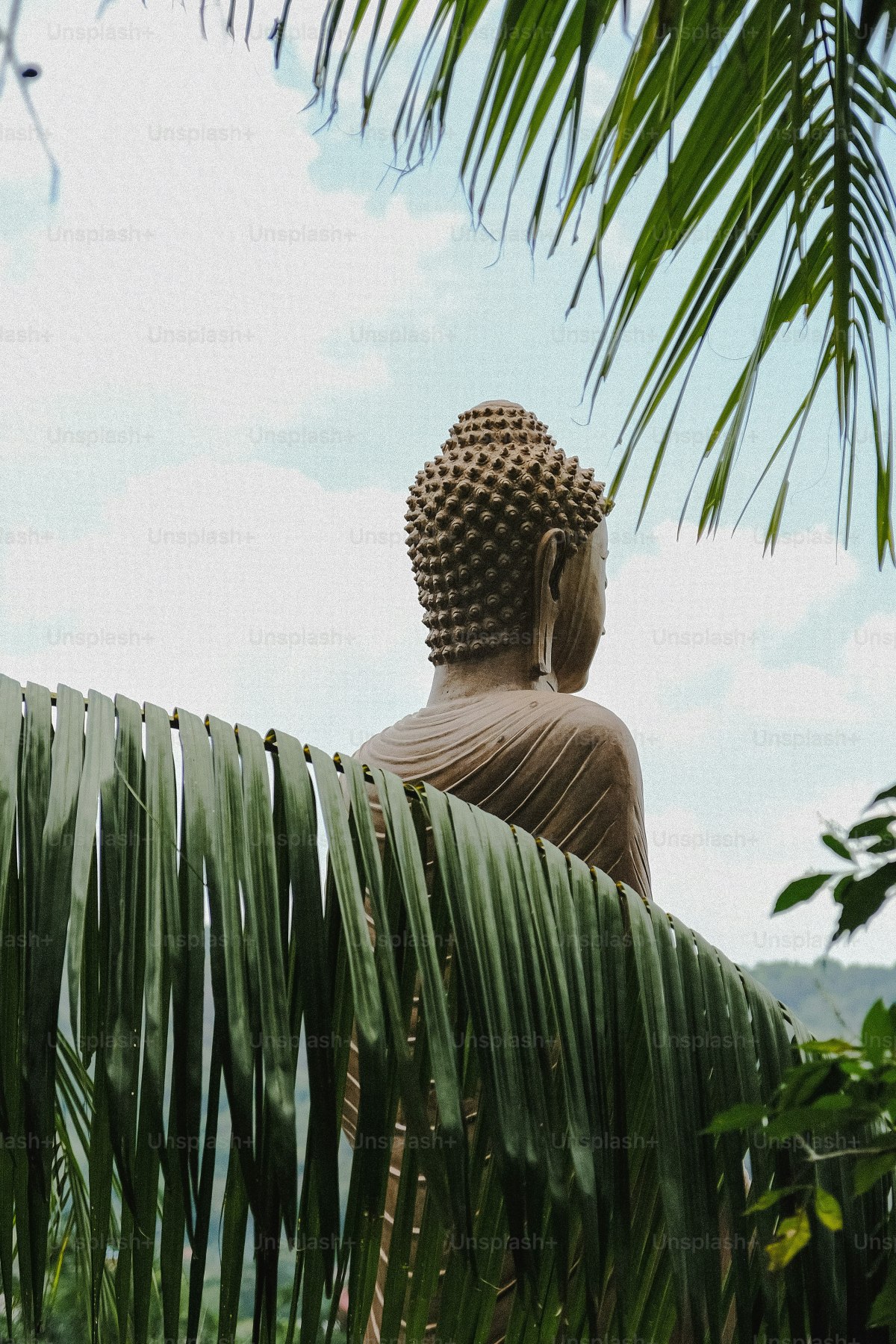 Making Mindful Memories on Maui Making Mindful Memories on Maui