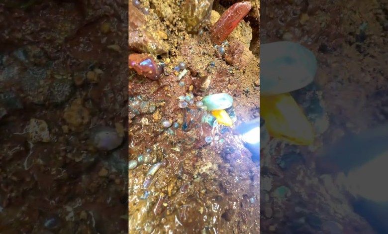 gold mines#emeralds gold mines#emeralds