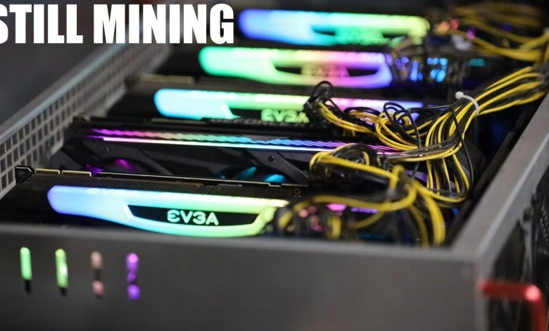 WHO’S GPU MINING STILL? August 2024 WHO’S GPU MINING STILL? August 2024