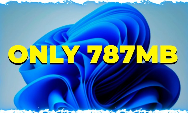 PICO11 Build Secrets for Smallest Usable Windows 11! PICO11 Build Secrets for Smallest Usable Windows 11!