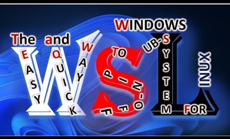 Windows Subsystem for Linux (WSL) Windows Subsystem for Linux (WSL)