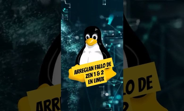 AMD soluciona error en CPU Zen 1 y Zen 2 que ralentizaba Linux AMD soluciona error en CPU Zen 1 y Zen 2 que ralentizaba Linux