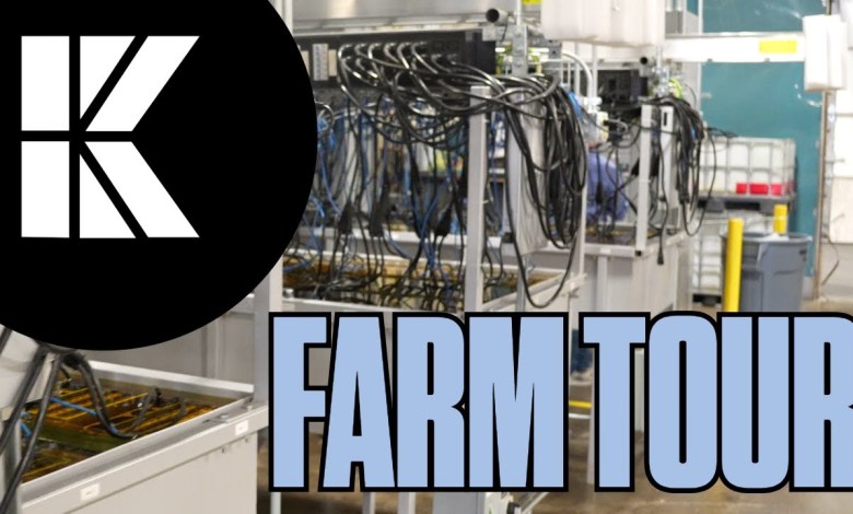 Immerssion, Flare Gas, Bear Market and Mining | Just For Krypto Immerssion, Flare Gas, Bear Market and Mining | Just For Krypto