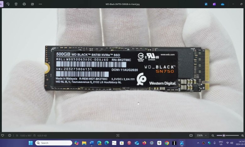 FIX Windows 11 24H2 Blue Screen of Death for some users Western Digital SSD drives FIX Windows 11 24H2 Blue Screen of Death for some users Western Digital SSD drives