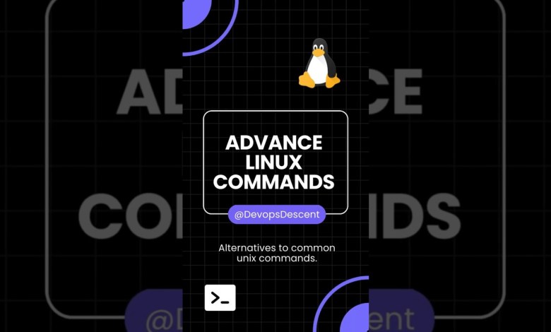 7 Pro Unix Command to Master in 2024 7 Pro Unix Command to Master in 2024