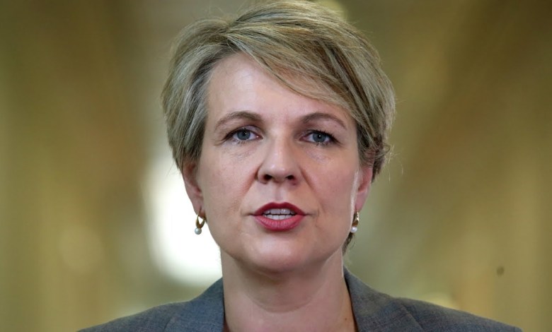 Albanese government blocks NSW gold mining development’s ‘critical project’ Albanese government blocks NSW gold mining development’s ‘critical project’