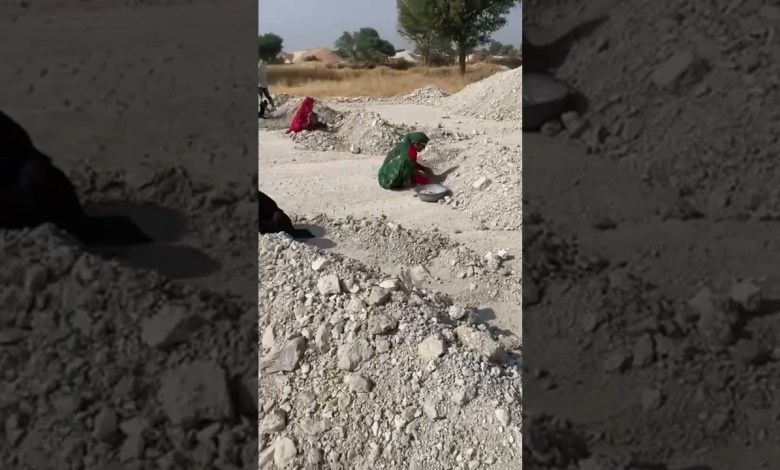 #material #sorting #manpower #clays #clay #mines #export #mining #clayvideos #material #sorting #manpower #clays #clay #mines #export #mining #clayvideos