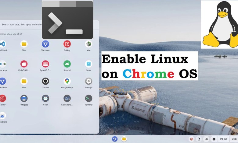 Enabling Linux on Chrome OS | Install Linux App i.e. VS Code on Chromium based Fyde OS Enabling Linux on Chrome OS | Install Linux App i.e. VS Code on Chromium based Fyde OS
