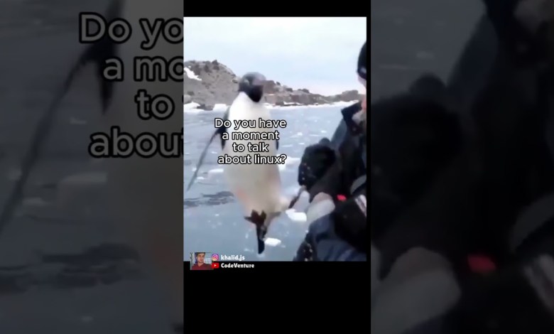 linux the veganism of operating systems #coding #programming #javascript #python linux the veganism of operating systems #coding #programming #javascript #python