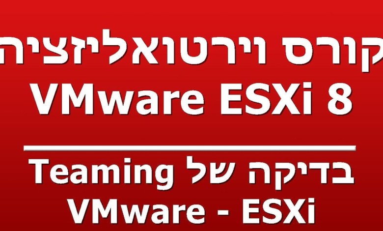 בדיקה של Teaming – VMware – ESXi בדיקה של Teaming – VMware – ESXi