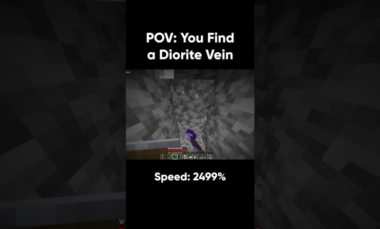 POV: You Find Diorite Vein in Minecraft #memes #mining POV: You Find Diorite Vein in Minecraft #memes #mining