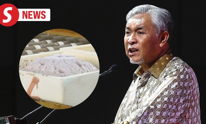 Follow national tax and mining rules in REE efforts, Zahid reminds SG4 Follow national tax and mining rules in REE efforts, Zahid reminds SG4