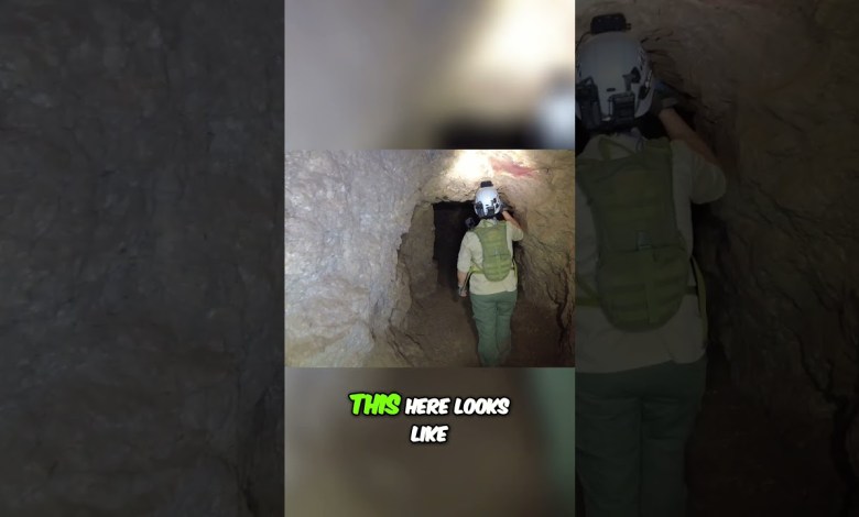 What Were They Mining in 1969? What Were They Mining in 1969?