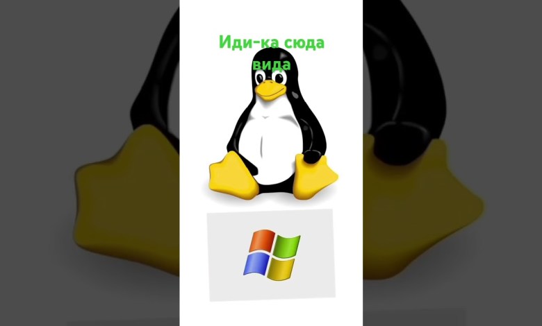 Линукс проголодался #мем #мемы #memes #meme #линукс #виндовс #linux #windows #error_cat Линукс проголодался #мем #мемы #memes #meme #линукс #виндовс #linux #windows #error_cat