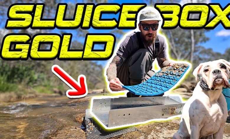 Use These to Mine Gold! | A Reedy Creek Prospecting Adventure Use These to Mine Gold! | A Reedy Creek Prospecting Adventure