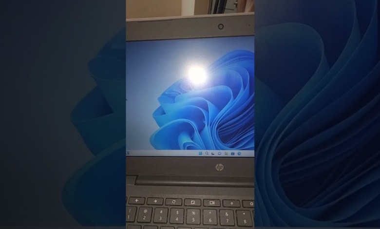 Windows 11 lite version Windows 11 lite version