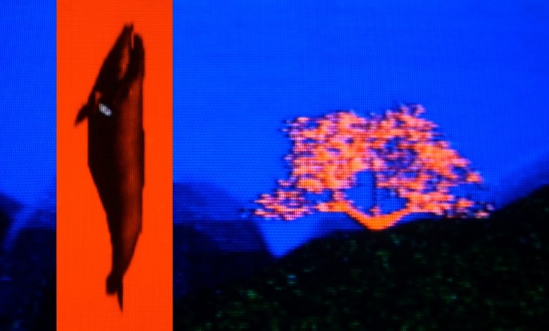 cool ps1 fish games (not clickbait) cool ps1 fish games (not clickbait)