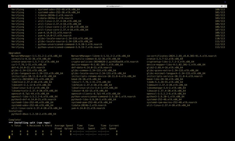 LXC automated provisioning with Proxmox and Saltstack LXC automated provisioning with Proxmox and Saltstack