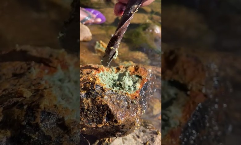 Is This The Rarest Geode Discovery of 2024? #rockhounding #goldfinder #gold #mining #shorts #gems Is This The Rarest Geode Discovery of 2024? #rockhounding #goldfinder #gold #mining #shorts #gems