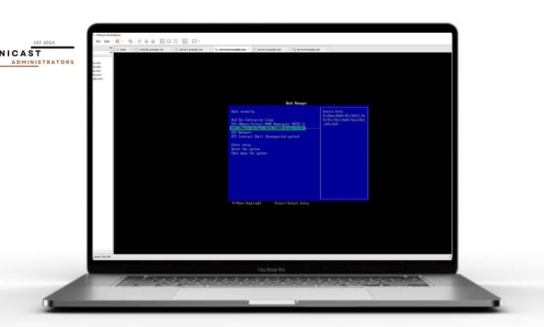 vmWare Workstation Pro 17 Extend the POST boot delay to enter BOOT/BIOS menus with DEMOs vmWare Workstation Pro 17 Extend the POST boot delay to enter BOOT/BIOS menus with DEMOs