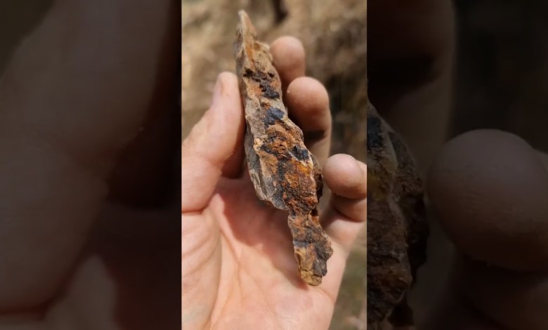 I went into this underground Gold Mine! #goldmining #mining I went into this underground Gold Mine! #goldmining #mining