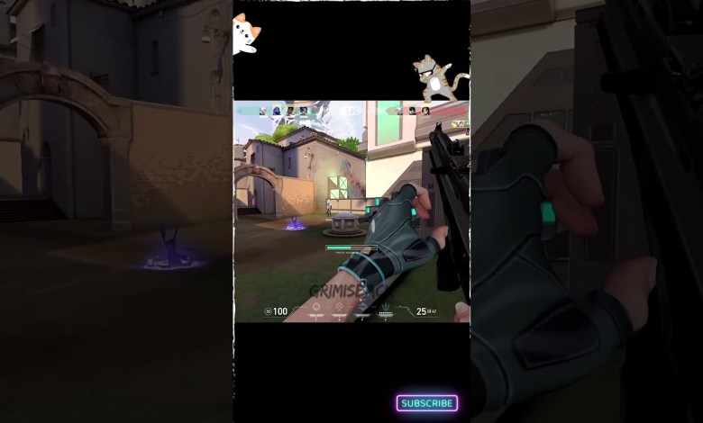 Lol Moment With ISO Lol Moment With ISO