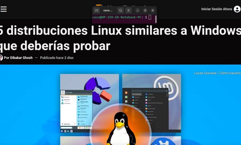 5 distribuciones Linux similares a Windows que deberías probar 5 distribuciones Linux similares a Windows que deberías probar