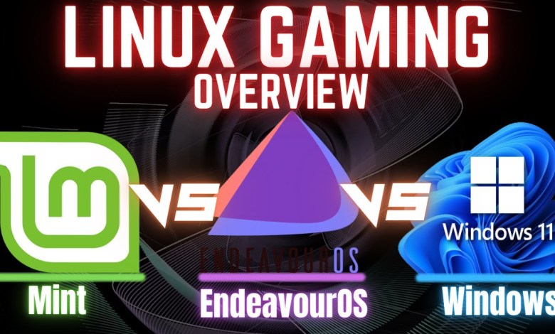 EndeavourOS vs Mint vs Windows 11 | Linux gaming vs Windows using a 4080 Super | 1440p | 4k | RT EndeavourOS vs Mint vs Windows 11 | Linux gaming vs Windows using a 4080 Super | 1440p | 4k | RT