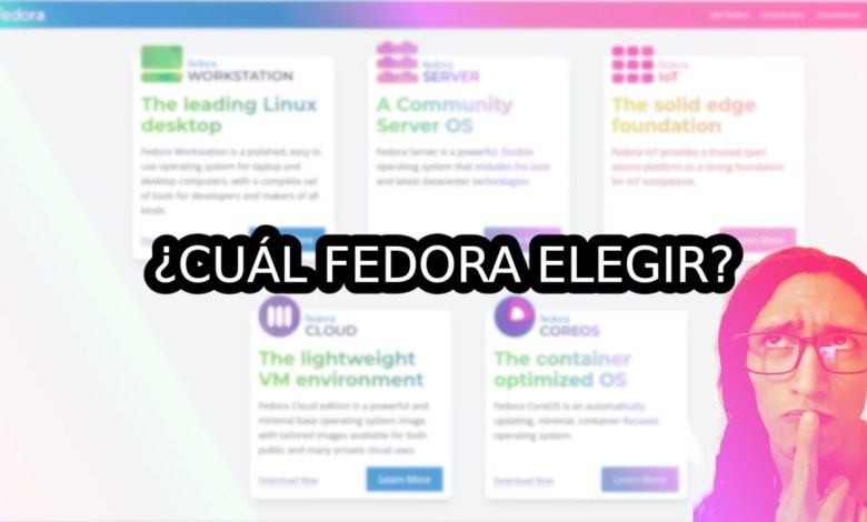 ¿Cuál Fedora Elegir? ¿Cuál Fedora Elegir?