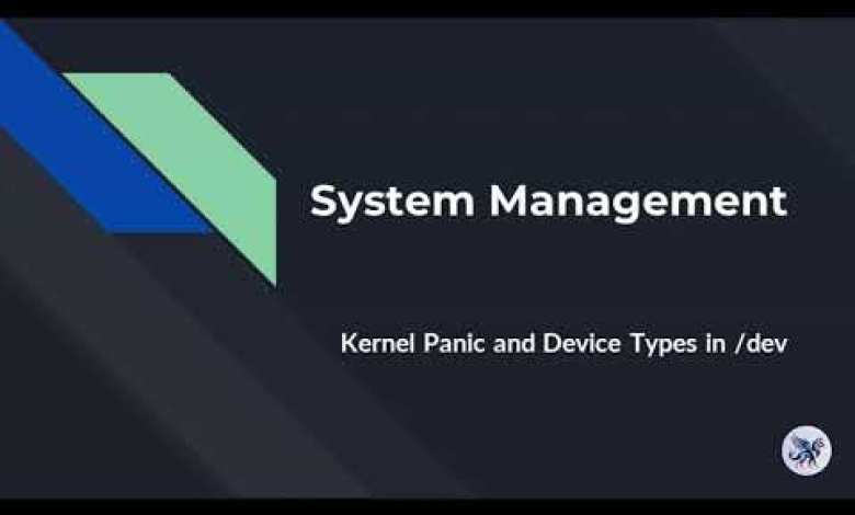 System Management: Kernel Panic and Device Types in /dev System Management: Kernel Panic and Device Types in /dev