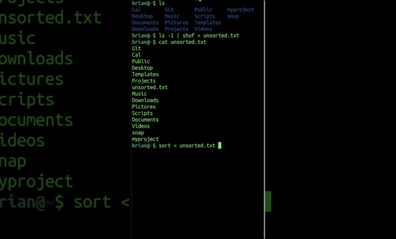 Master Linux Input Redirection Like a Pro Master Linux Input Redirection Like a Pro