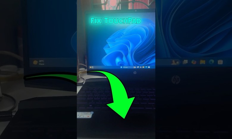 Fix TouchPad Not Working on Windows 11 Fix TouchPad Not Working on Windows 11