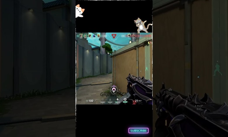 3 Headshots Back To back 3 Headshots Back To back