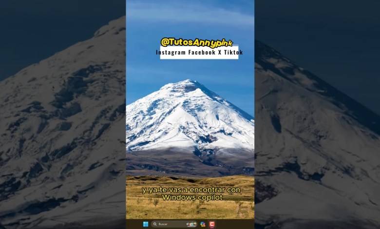 Activa Windows Copilot en Windows 11 22H2 sin comandos Activa Windows Copilot en Windows 11 22H2 sin comandos