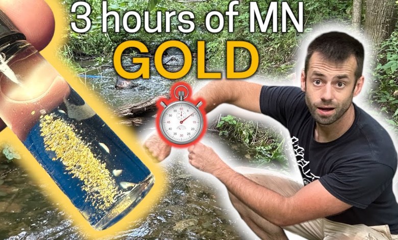 Minnesota Gold Mining, 3 Hour Challenge: How Much GOLD? Minnesota Gold Mining, 3 Hour Challenge: How Much GOLD?