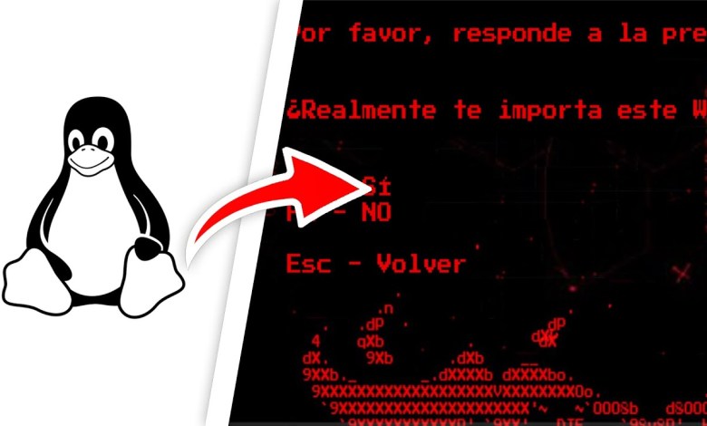 Instalar Linux fue un gran error (nueva pantalla de la muerte de Windows 11) Instalar Linux fue un gran error (nueva pantalla de la muerte de Windows 11)