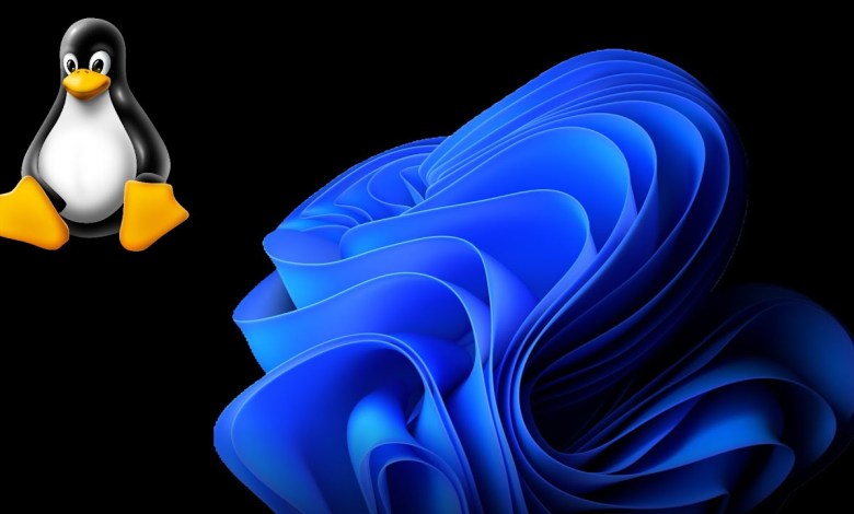 Ubuntu Installation on Windows 11 in VMware | Cyber Security Ep 3 Ubuntu Installation on Windows 11 in VMware | Cyber Security Ep 3