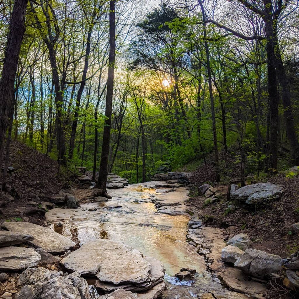 Huntsville, scope out these 5 hiking trails in your area Huntsville, scope out these 5 hiking trails in your area