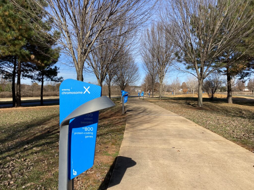 Check out HudsonAlpha’s unique outdoor exhibit in Huntsville Check out HudsonAlpha’s unique outdoor exhibit in Huntsville