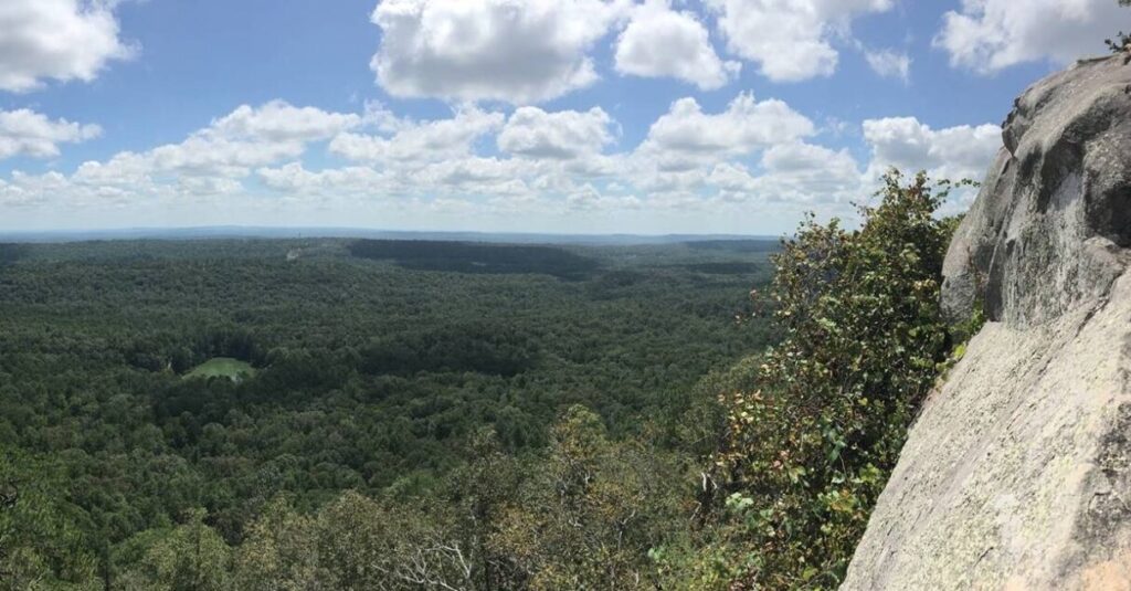 Forever Wild votes to acquire 6,168 acres across Alabama in 6 counties Forever Wild votes to acquire 6,168 acres across Alabama in 6 counties