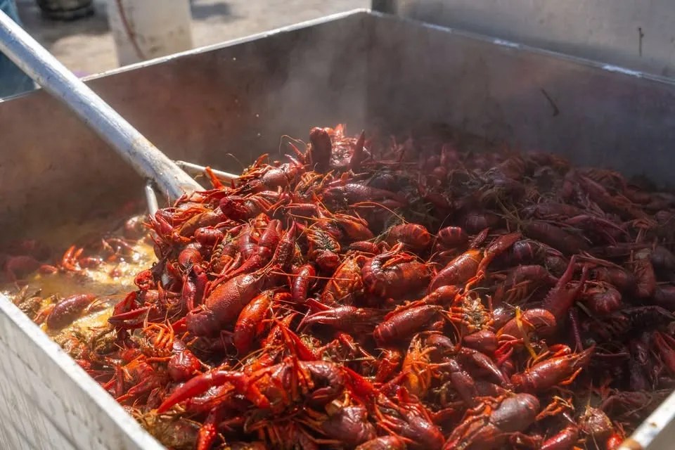 6th Annual Crawfish Festival 6th Annual Crawfish Festival